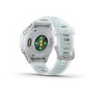 Garmin
