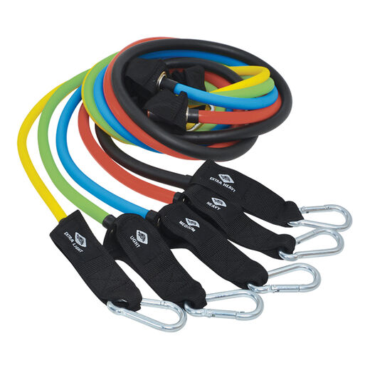 Schildkr&ouml;t Fitness