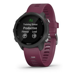 Forerunner 245