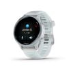 Garmin